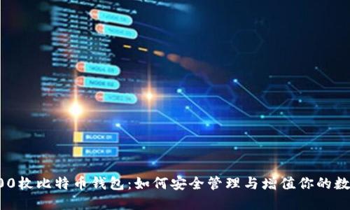 揭秘300枚比特币钱包：如何安全管理与增值你的数字资产