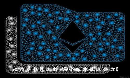 比特币钱包选择：哪个版本最适合你？